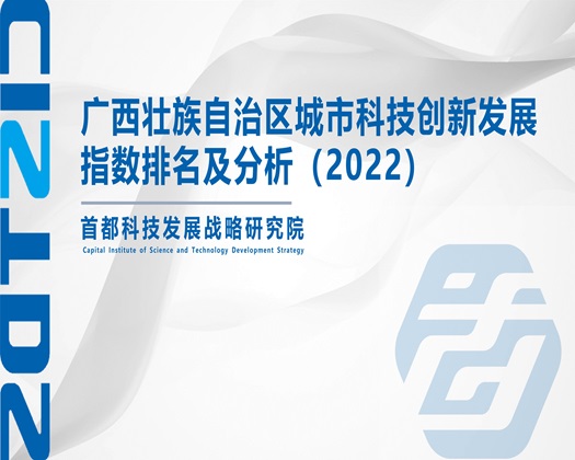 啊～用力cao我cao死我视频【成果发布】广西壮族自治区城市科技创新发展指数排名及分析（2022）